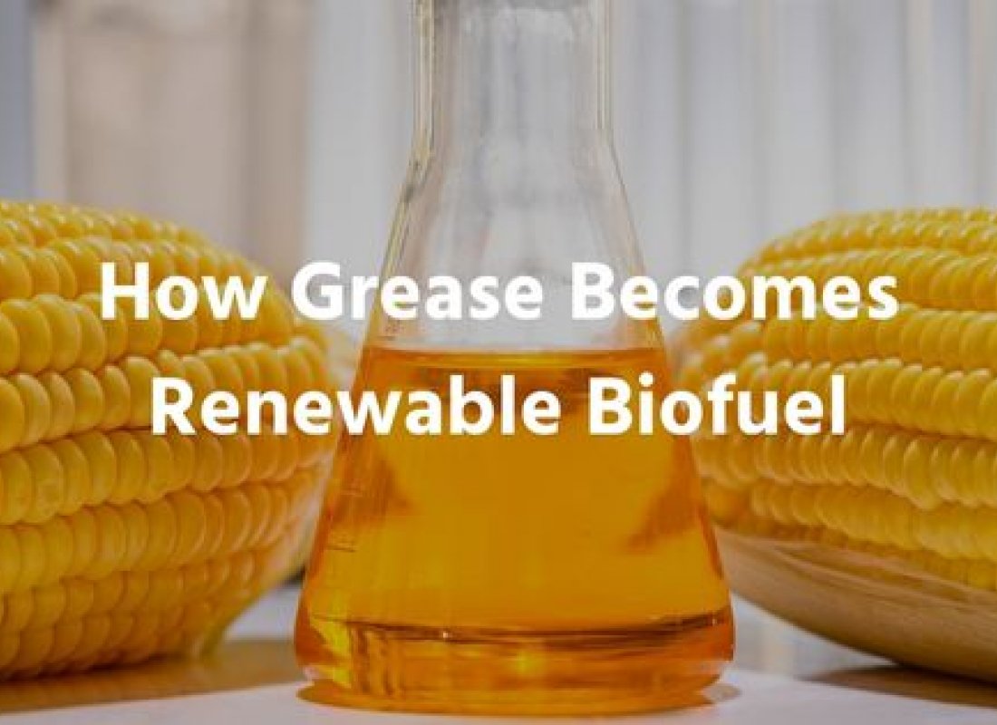 How Grease Becomes Renewable Biofuel